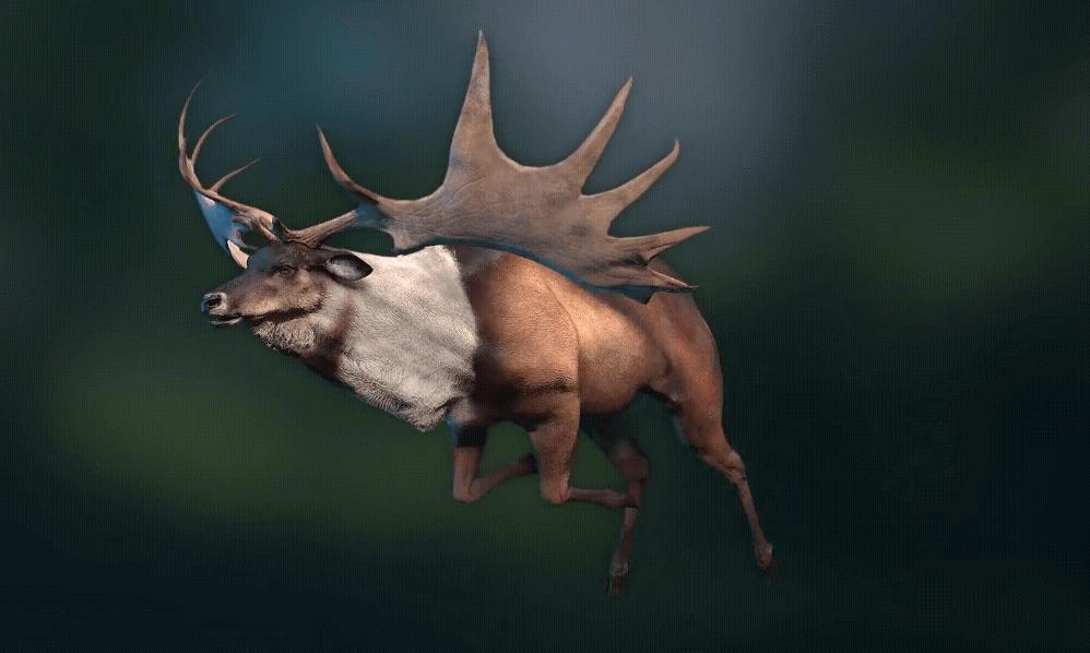 大角鹿灭绝,巨大角鹿灭绝了多少年