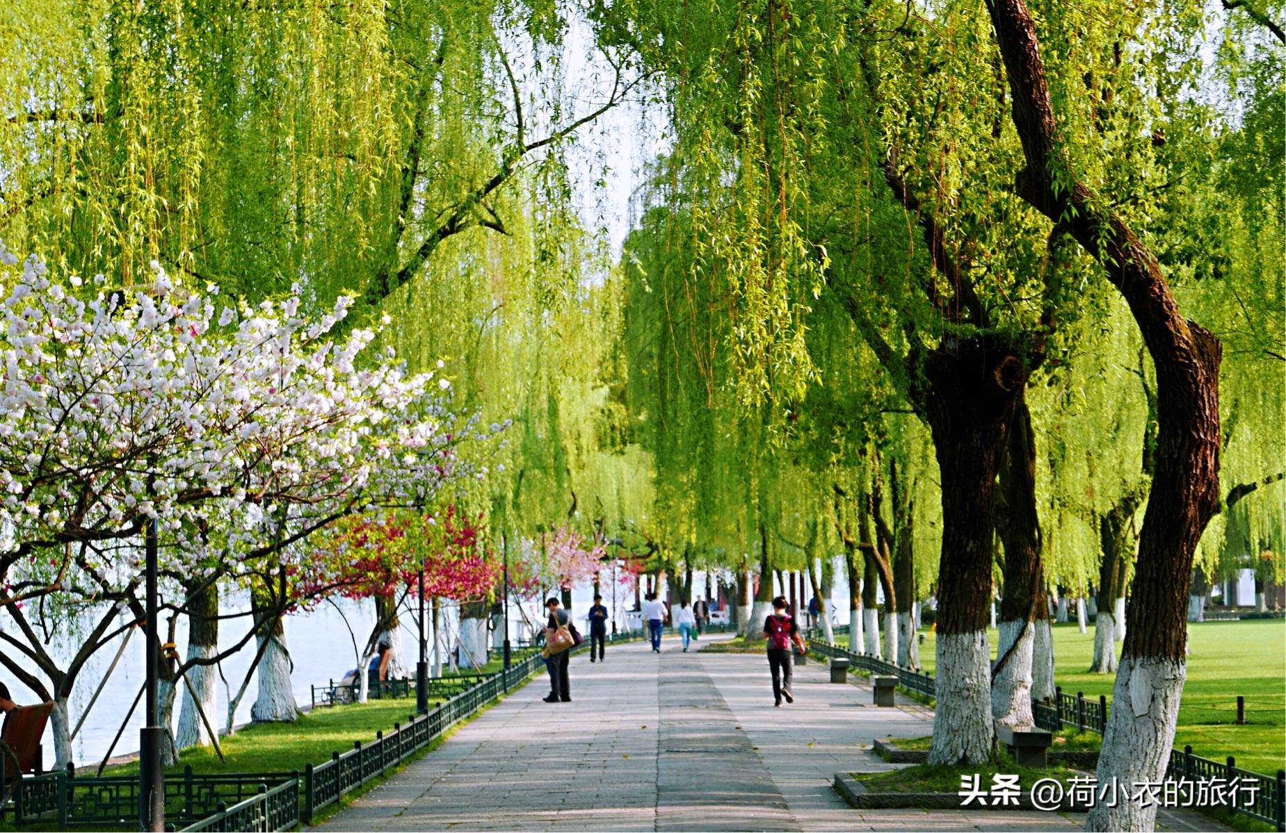 上有天堂下有苏杭，西湖十景的正确打开方式，你玩对了吗？