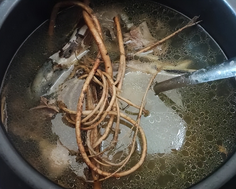 五指毛桃哪个品种煲汤最好喝,五指毛桃千斤拔牛大力煲汤的功效