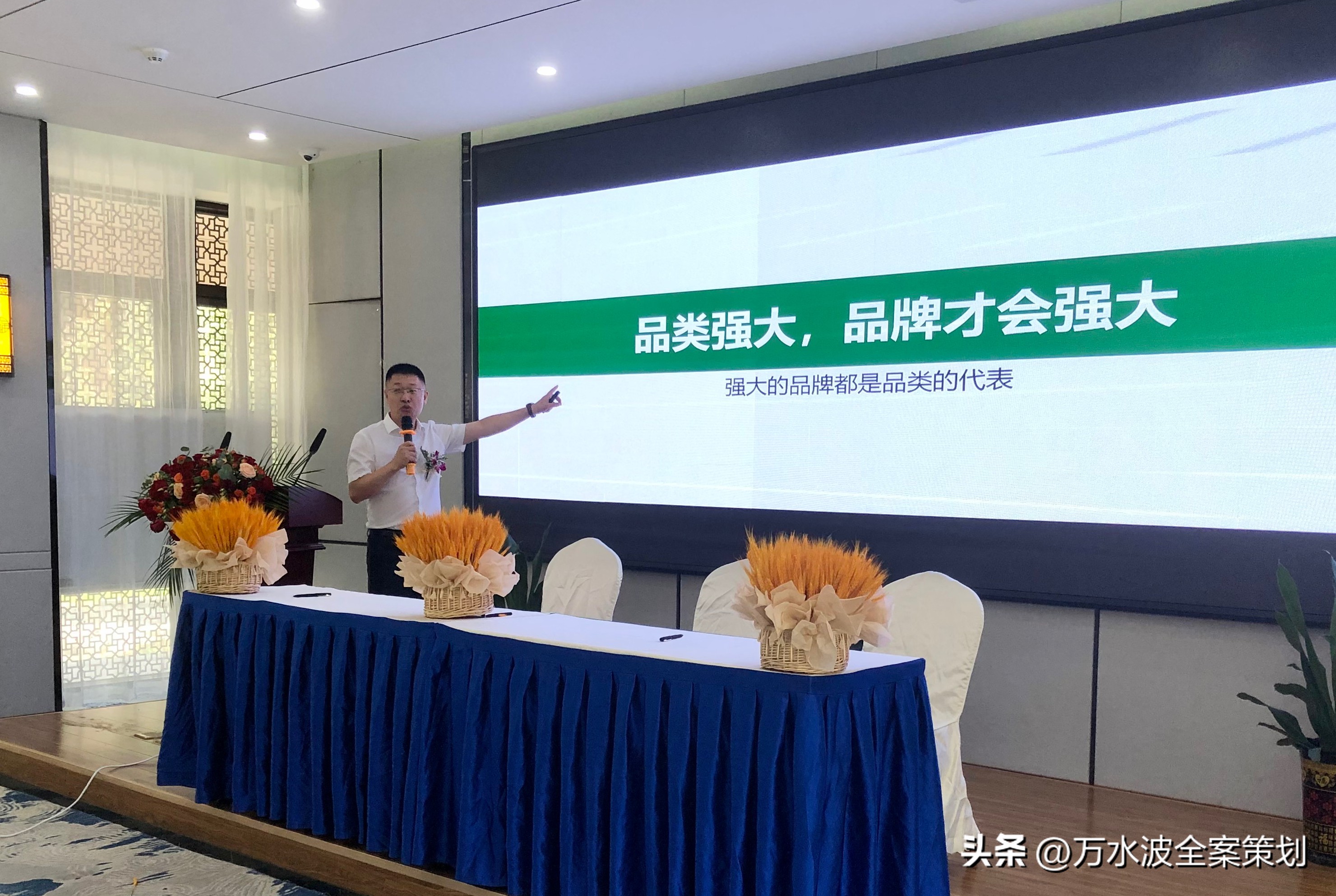 涂料公司活动策略，万水波建材战略咨询：中小涂料品牌如何崛起？