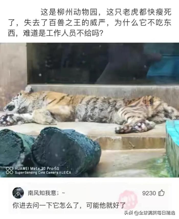 爬山回来为什么手指头长毛,爬山回来手指头长了几根毛