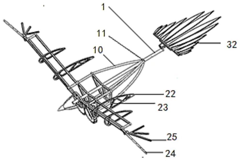 PIV测量技术在扑翼飞行中的运用