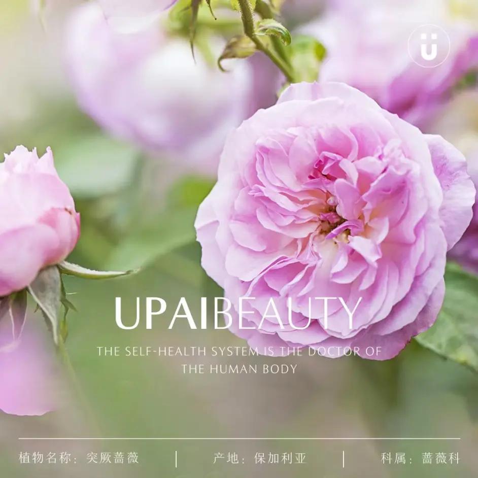u牌玫瑰纯露的功效与作用,u牌纯露告诉你正确的护肤的流程