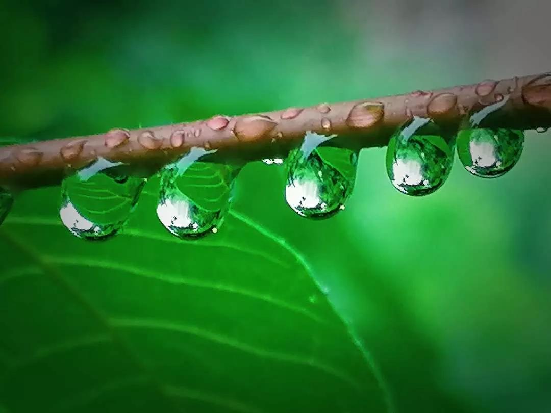 岁月斑驳留下来的都是静好时光,岁月斑驳愿时光静好