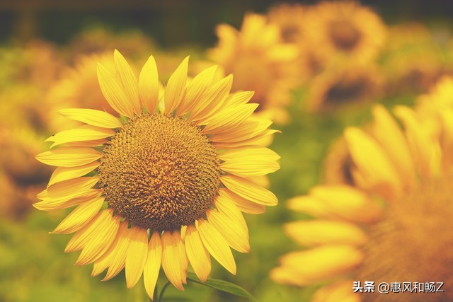 1条视频，3个月，收益这么多！您觉得怎么样？