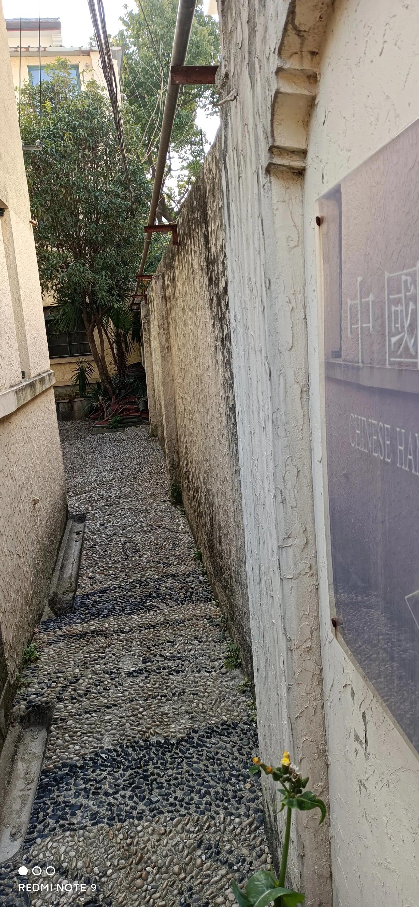 心系蓝印花布的日本籍老太太