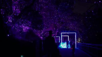 分享美景行走山水间,分享夜晚美景记录生活