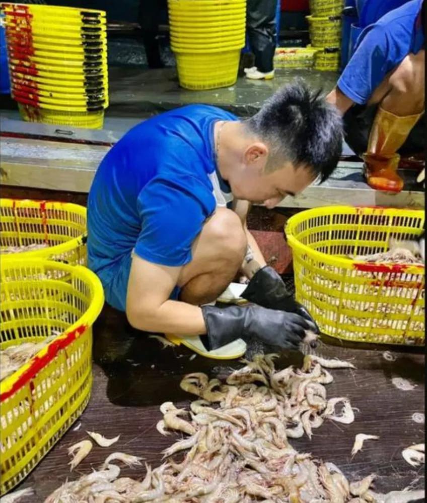 男足前路,男足的希望在哪个地区