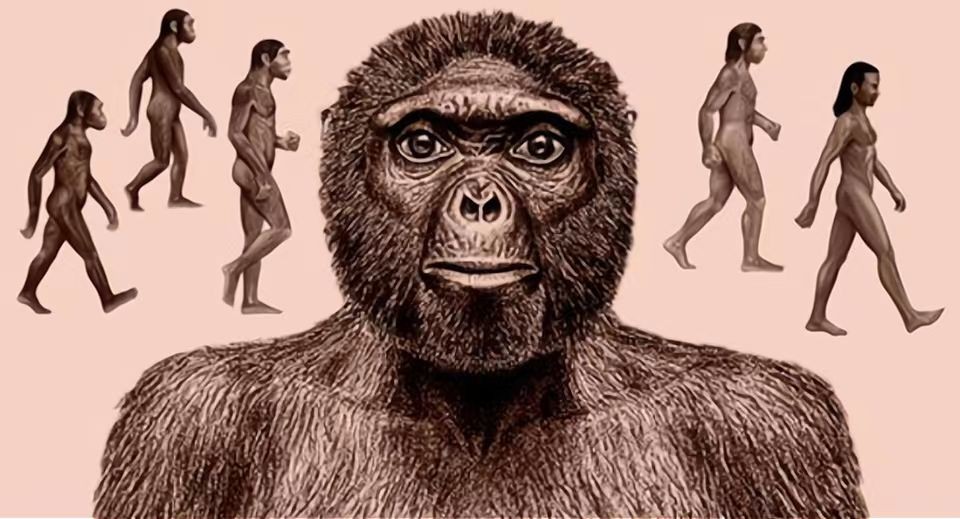 人类为什么会退去体毛？却留下来腋毛、阴毛等一小部分头发？