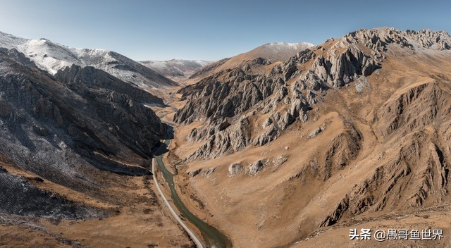 青海湟鱼那么多为什么要保护,救命的青海湖湟鱼
