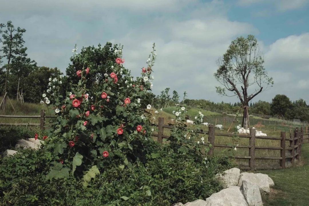 农场果园10大盈利模式,开心农场种蔬菜赚钱技巧