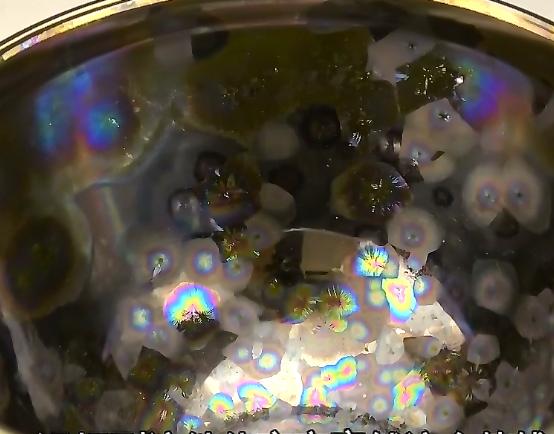 日本专家鉴定国宝级文物,日本专家收藏中国古董