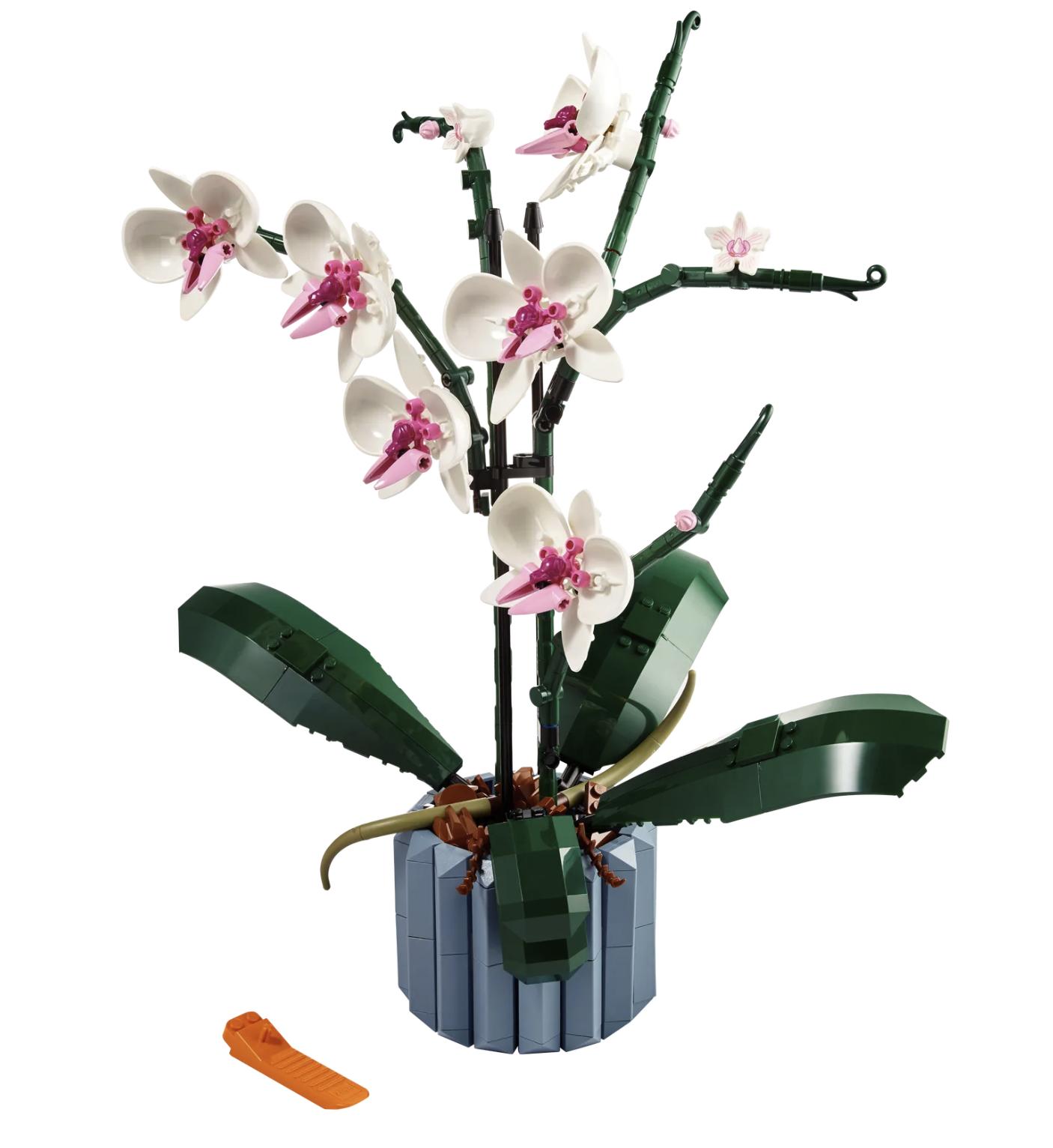 乐高彩虹之路电子版,乐高彩虹之路第一代