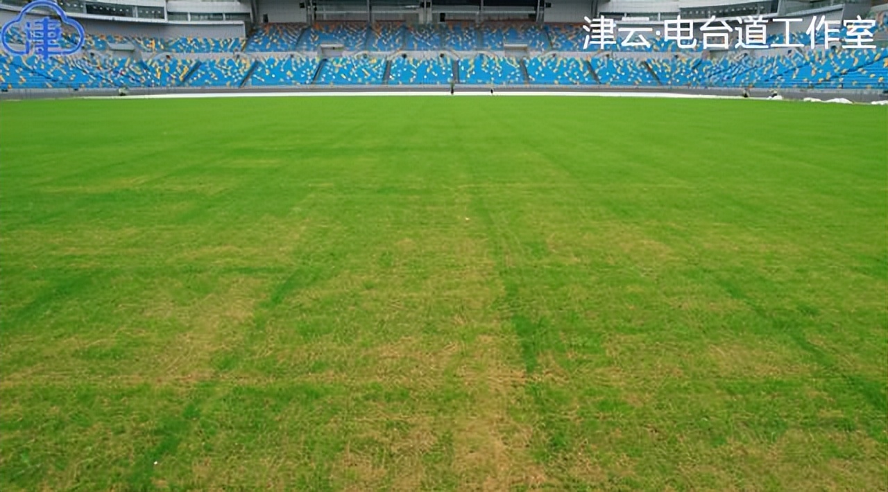 泰达球场津门虎比赛,津门虎泰达球场几号