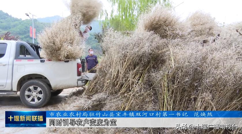 秸秆还田怎么变废为宝,农作物秸秆就能变废为宝