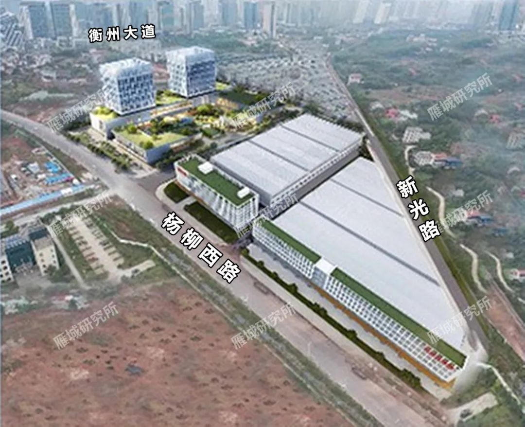 衡州大道规划,衡州大道修建视频