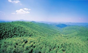 衡阳市生活水平怎么样,衡阳市怎么样