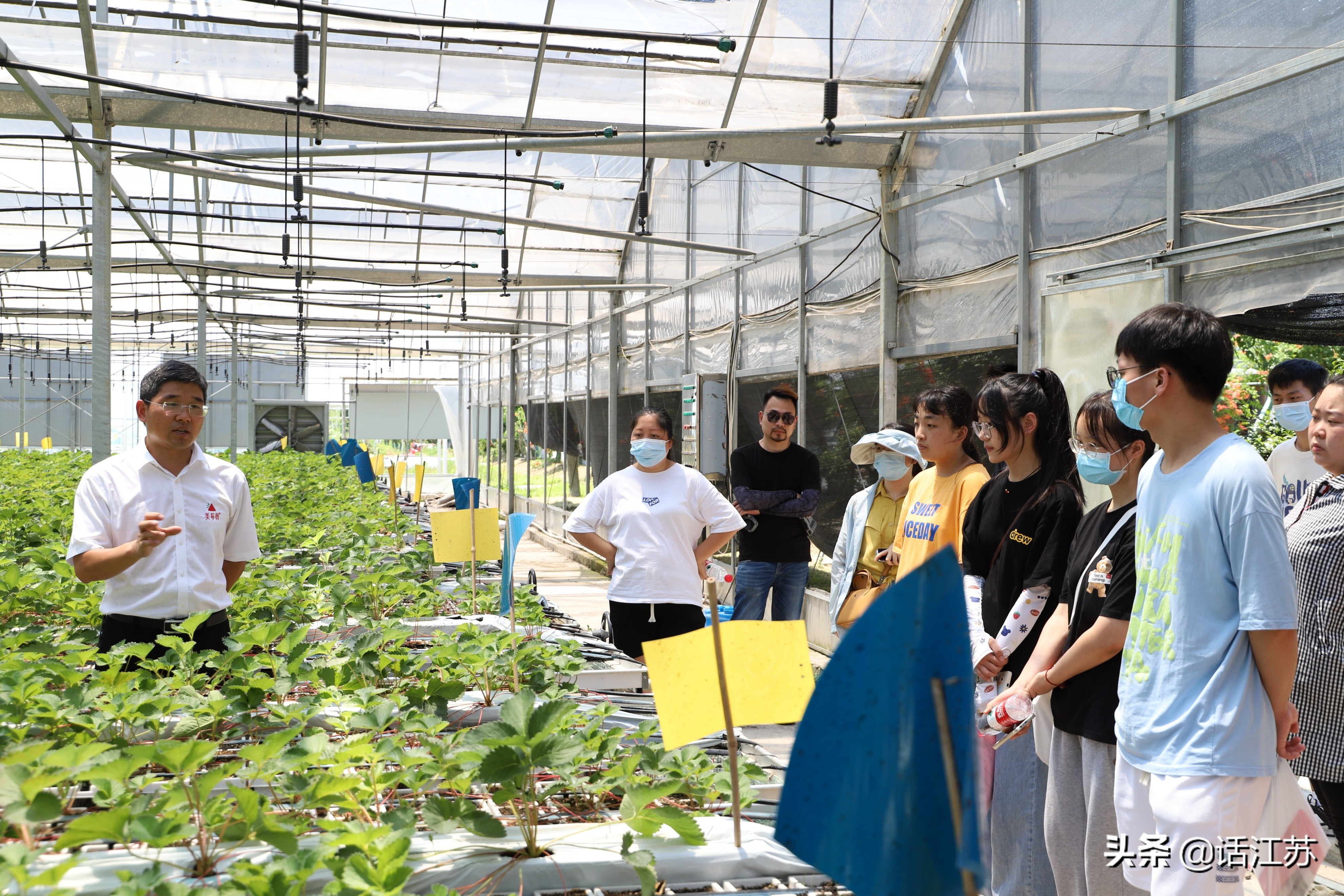 “创”响未来，筑梦启航，溧水洪蓝首届大学生创业推介会成功举办