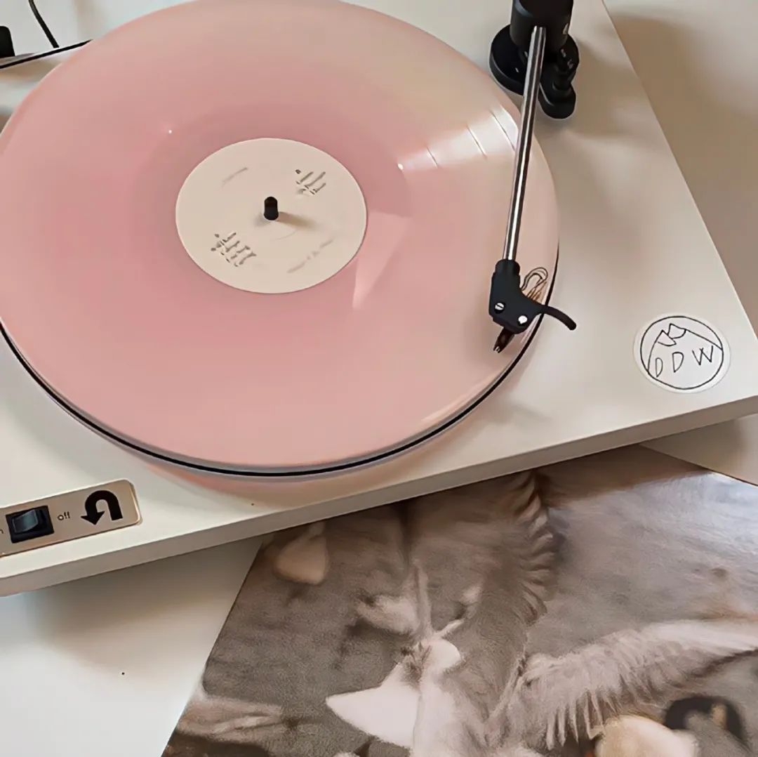 微信朋友圈背景图动态教程,背景图朋友圈高级感简约风