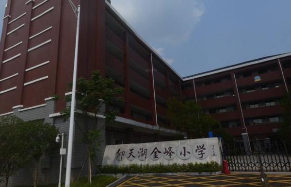 长沙南湖新城,长沙南湖片区一号地块