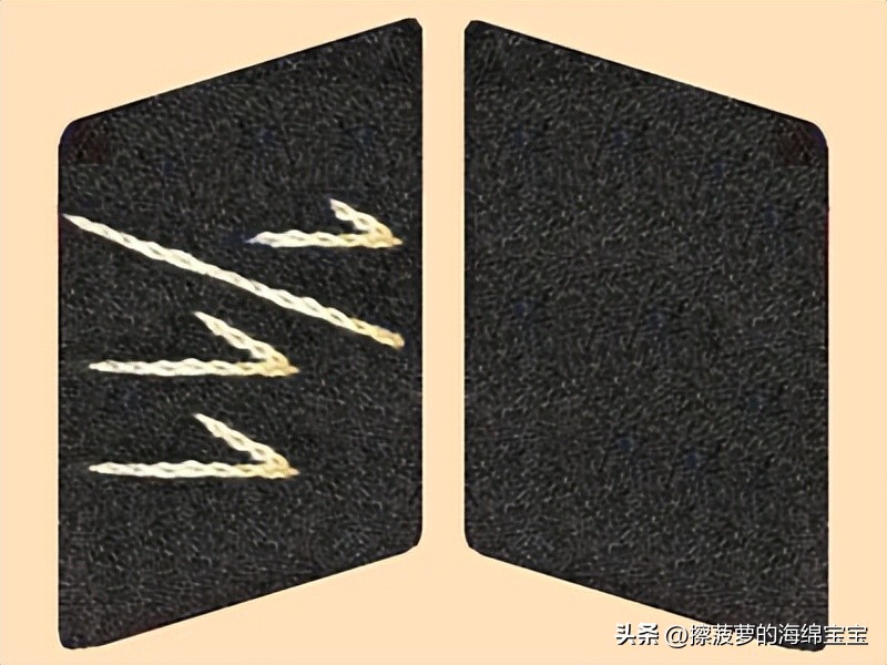 纳粹冲锋队用的什么枪,纳粹德军军衔图解