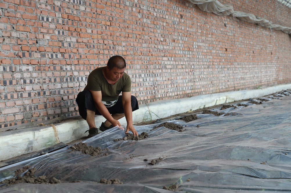 侯红章：大棚里走出的致富带头人