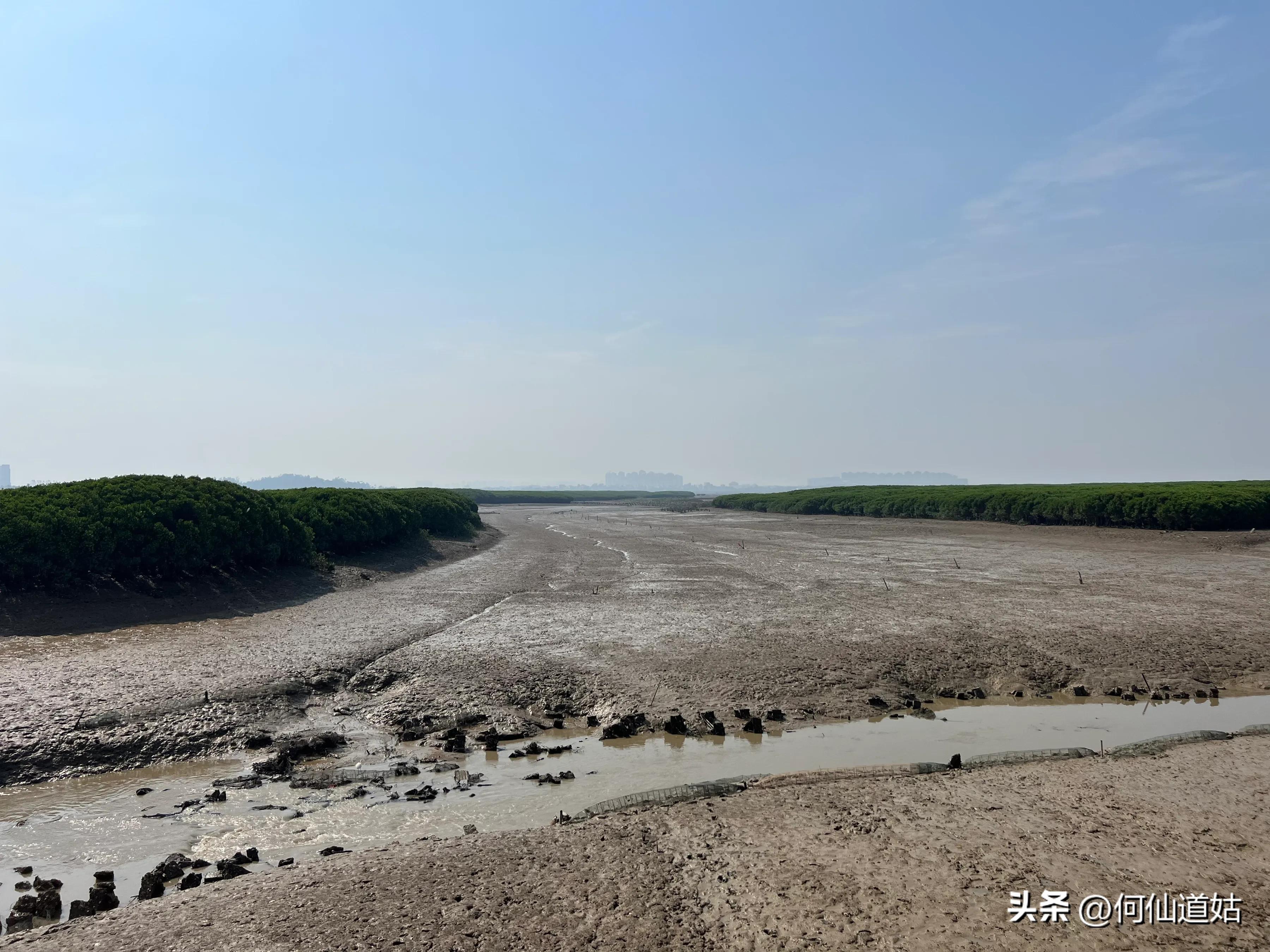 洛阳桥传说真实故事,洛阳桥泉州