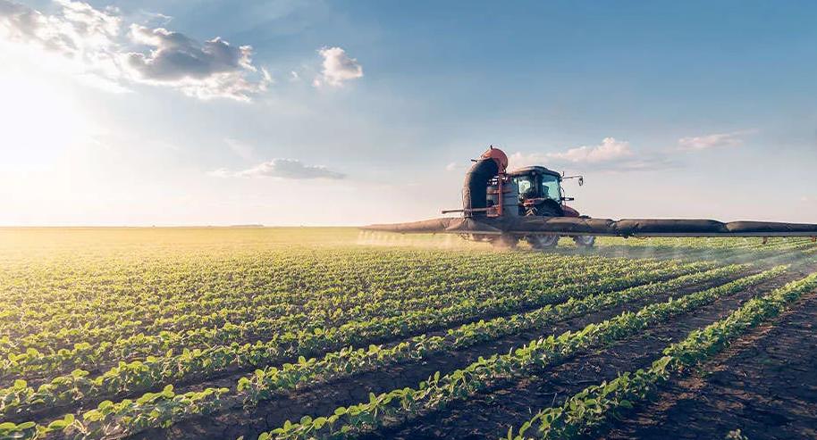 专家谈“世界粮仓”巴西遭遇饥荒,巴西粮食为什么出口