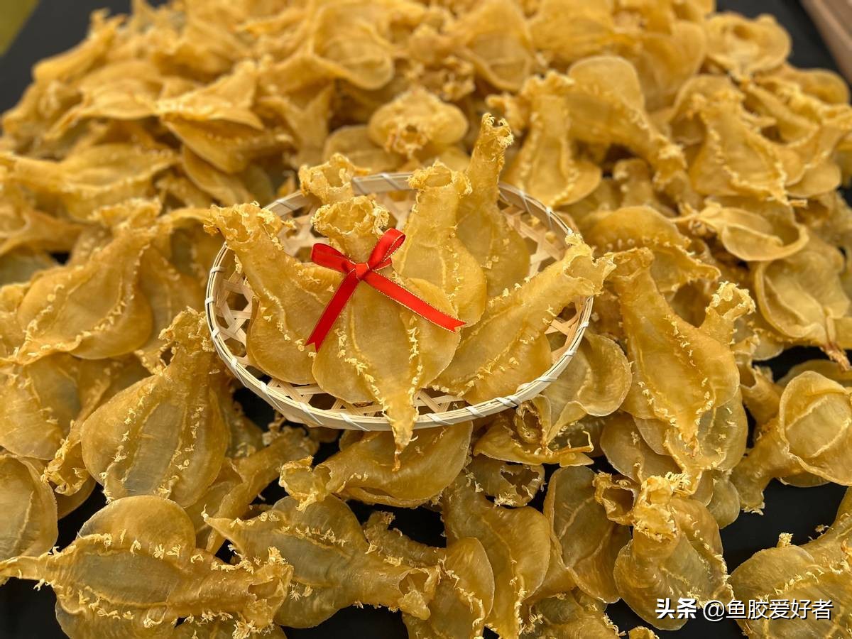 怎样挑选鱼胶最好,鱼胶怎么挑选才是好的