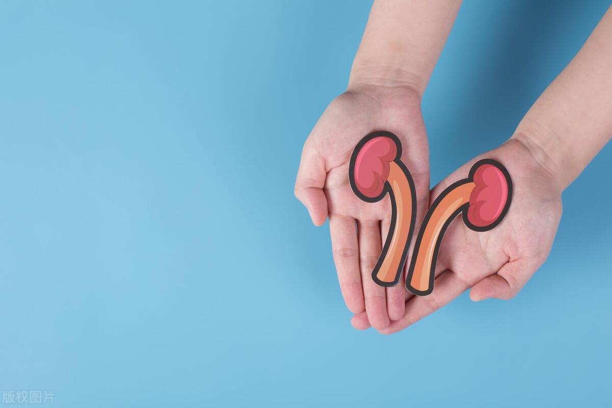 男性最常见的补肾用药,男性养精固肾药