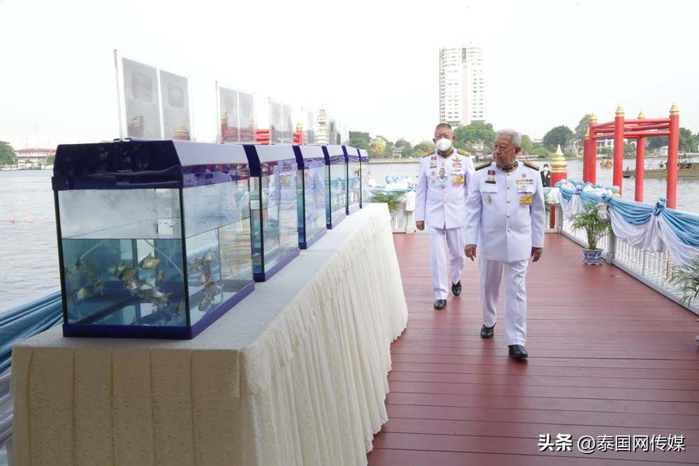 泰国提帮功王子诞辰国王委派枢密院主席举行放生功德仪式