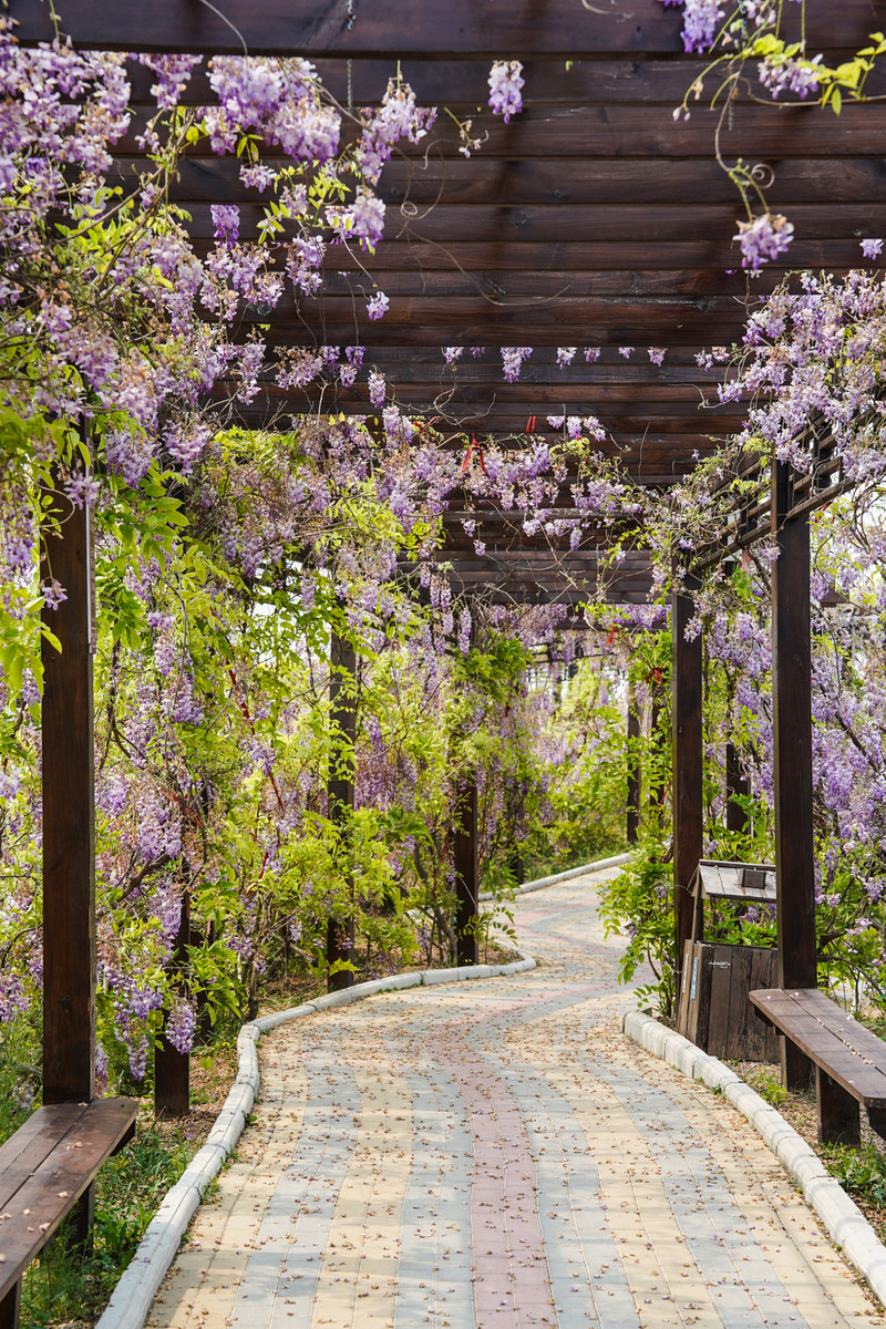宿州两日游,宿州旅游攻略三日游