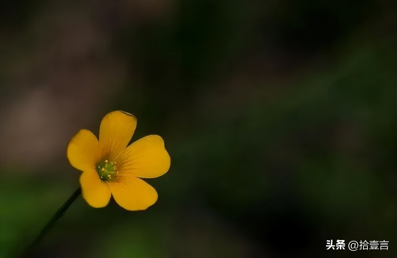 越是心穷的人越有这几个习惯,如何观察一个人是真穷还是假穷