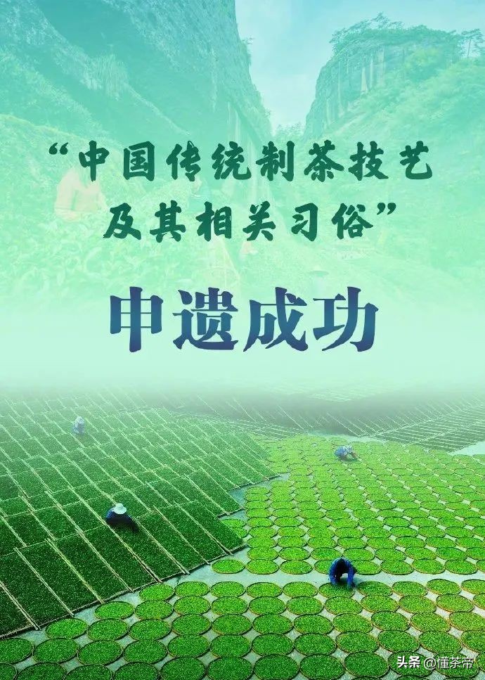 茶圈的十大内幕,关于茶圈的知识