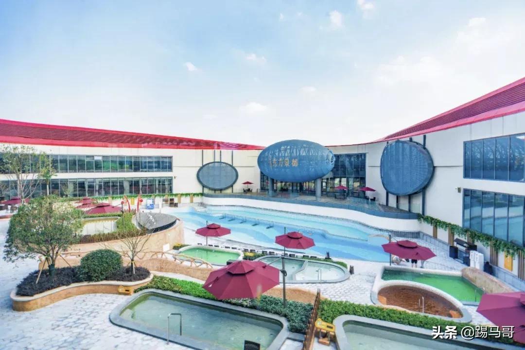 魔都泡汤指南丨卷出了新高度，“汤达人”告诉你哪家才是汤王