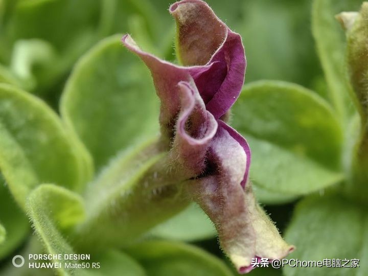 曝华为mate50rs保时捷外观,华为mate50rs保时捷长焦测试