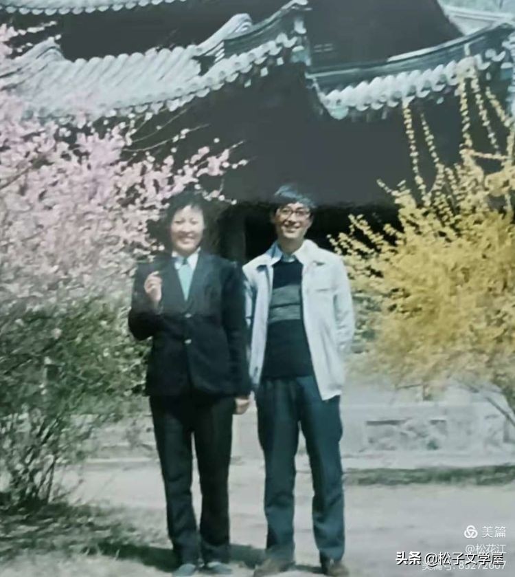 祖国颂水笔书法作品欣赏,祖国颂竖版书法作品