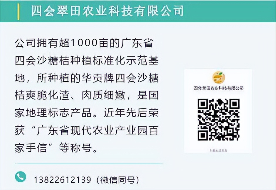四会正宗沙糖桔是纯甜的吗,四会沙糖桔有没有籽