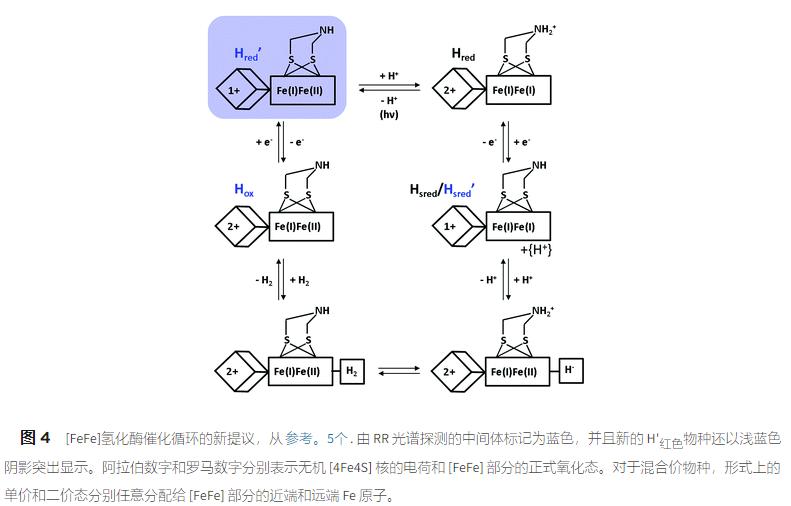 振动光谱,振动光谱的组成方法