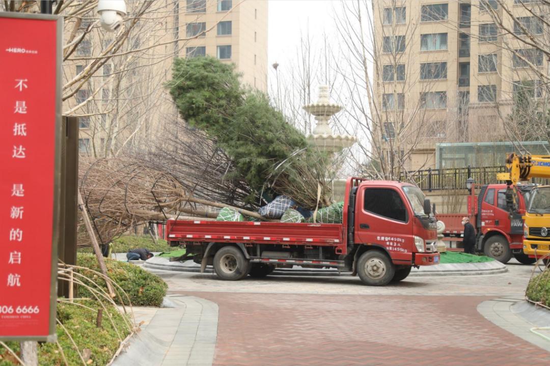 迭新什么意思,迭新是什么意思