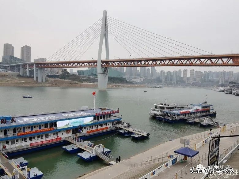 重庆一外陪读妈妈分享经验，陪读半年，孩子从英语小白到考140分