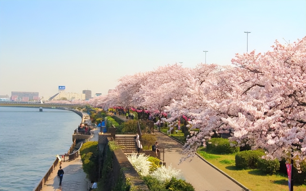 therain菊次郎的夏天片段,菊次郎的夏天电影故事分析