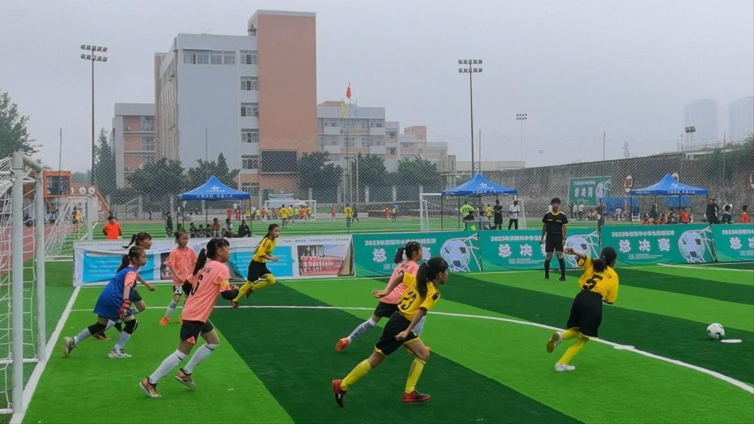 喜讯：硕果累累，载誉而归