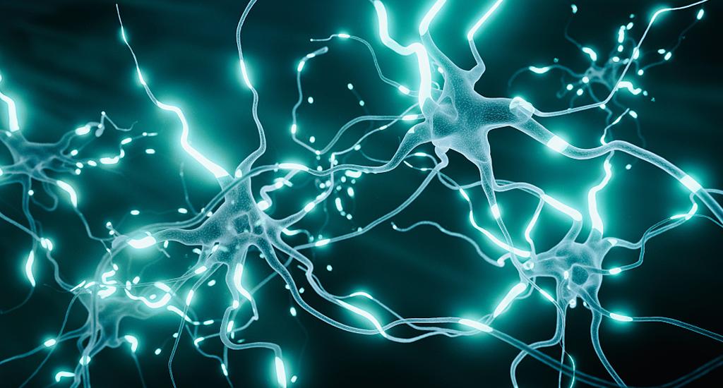 人体需要补充矿物质维生素吗,人体需要补充辅酶吗