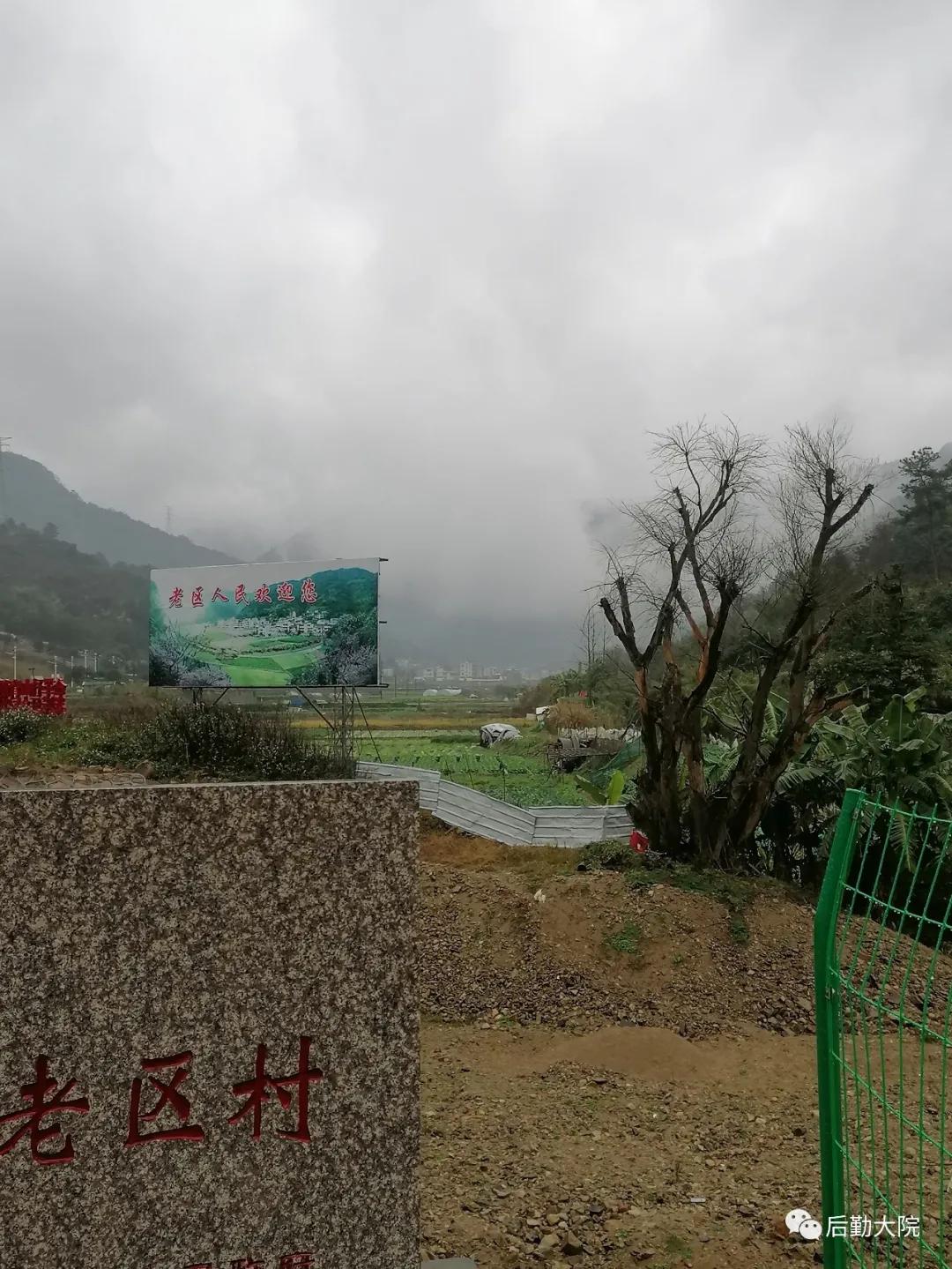 知青点的村支书叫“依派”