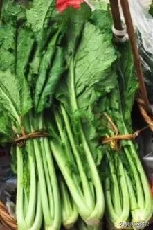 云南的青菜,云南青菜好吃的标准
