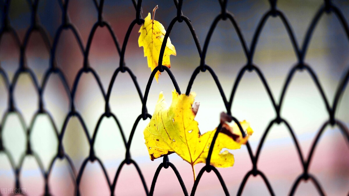 真正的有钱人和虚假的有钱人穿搭,真正的有钱人是什么样子的