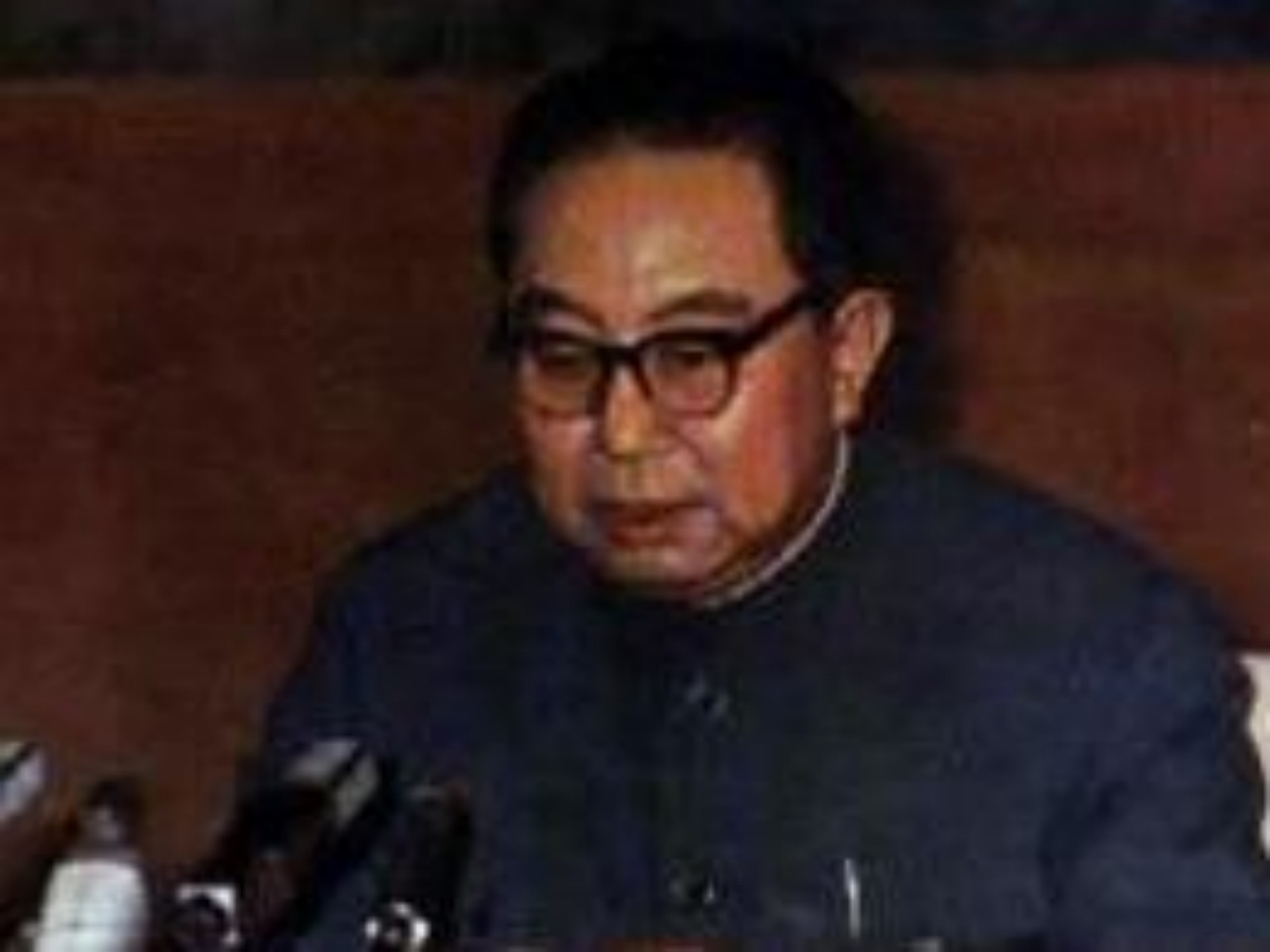 1990年*国锋华**重回韶山，毛主席亲人好奇问道：叫你华书记还是华老