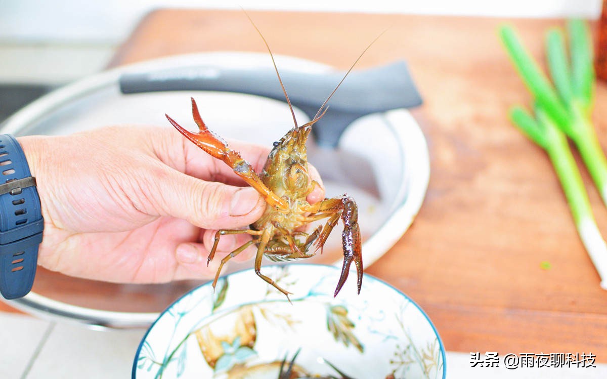 九阳大磨王不粘锅二代实际情况,九阳大魔王不粘锅直播