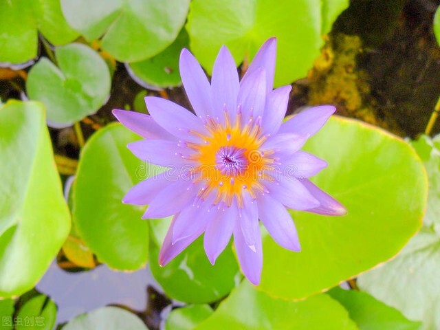 你们觉得信佛的人会怎么样,大家怎么看信佛的人